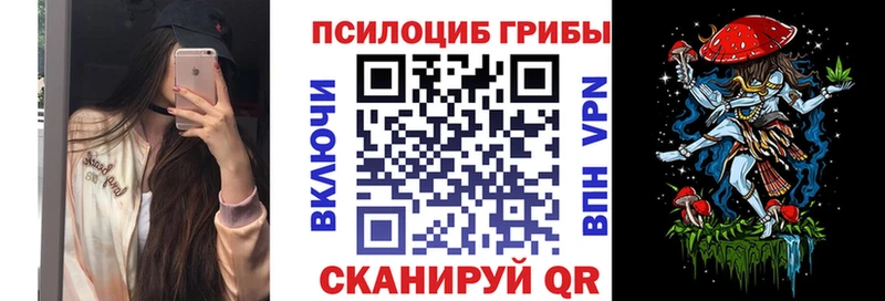 mega ONION  цена наркотик  Жирновск  Галлюциногенные грибы прущие грибы 